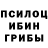 Галлюциногенные грибы мухоморы Markeli Upson