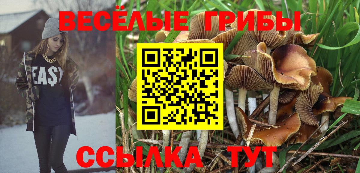 Псилоцибиновые грибы мицелий  Вход с VPN  Галлюциногенные грибы прущие грибы  Лесной 