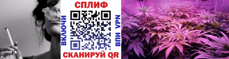 Канабис White Widow  закладка  blacksprut ссылки  Лесной 