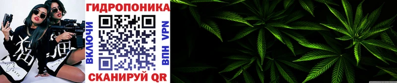 Бошки марихуана THC 21% Лесной